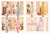 Shree Sana Safinaz Chikankari Vol 2 Cotton Pakistani Suits Catalog
